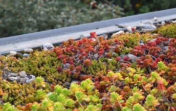 the cost of Ysbyty Cynfyn green roof installation