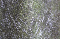 Ysbyty Cynfyn fibreglass roof work